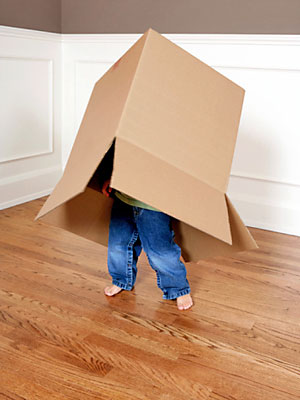 Cardboard box – so much play!