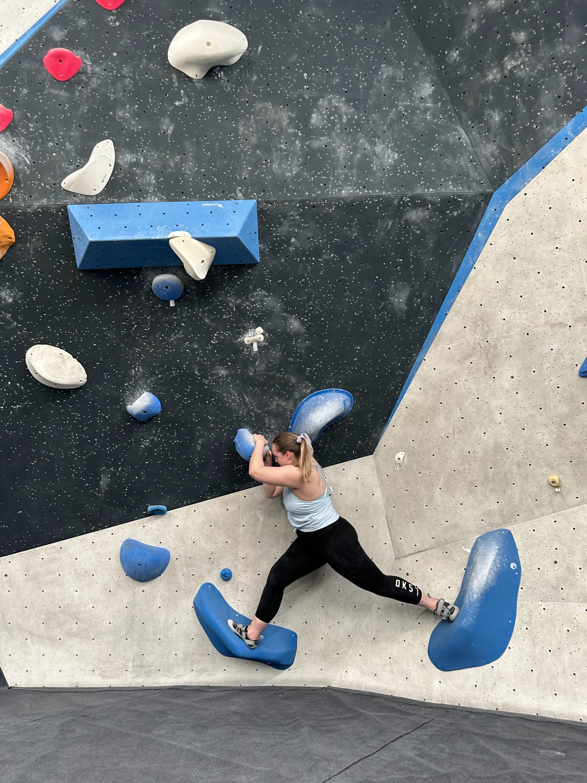 A bus ride leads Emily to DWSP!